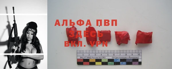 ПСИЛОЦИБИНОВЫЕ ГРИБЫ Заводоуковск