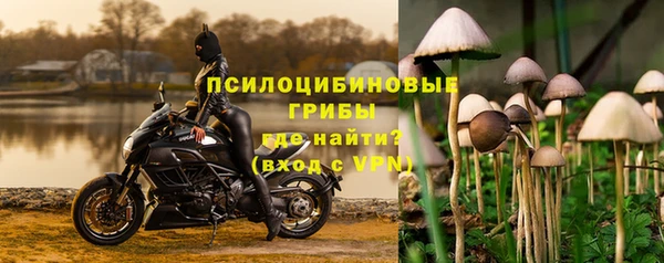 a pvp Армянск