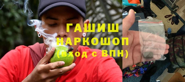 индика Заволжье