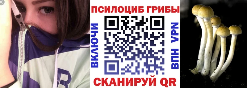 Галлюциногенные грибы Magic Shrooms  Певек 
